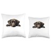 Paws & Whiskers Threads Labrador Peek-a-Boo Dog Throw Pillow, 18x18,