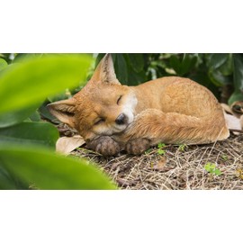 RUNADI 87719-D Fox Pup Sleeping Statue