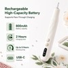 Electric Diamond Art Pen with Light, Dual-Speed Vacuum Tool (Beige)