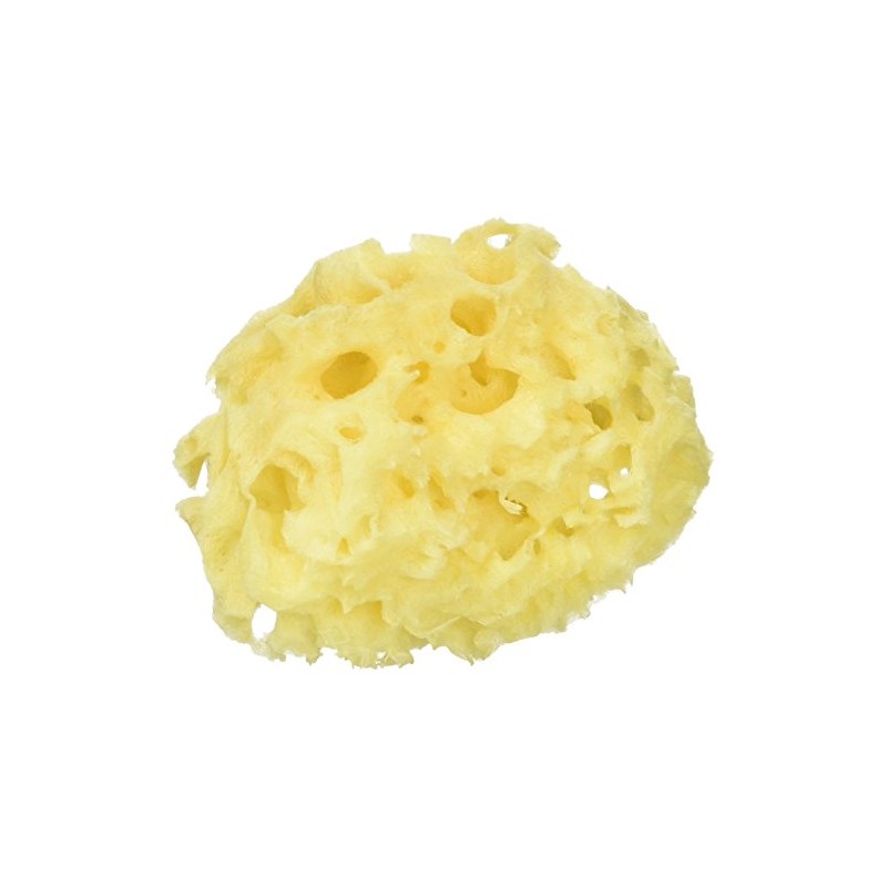 Pigeon Natural Bath Sponge