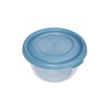 Kigima Mini Freezer Food Storage Container 250 ml Round Set