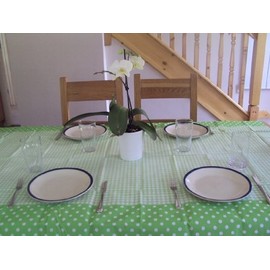 Gisela Graham Gingham Paper Tablecloth