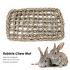 Rabbit Activity Mat, Bunny Chew Toy Seagrass Mat, Pet Cage