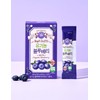 Holberry [홀베리] 통째로 갈아만든 유기농 블루베리 스틱 20g 14포 [Holberry] Whole Organic Blueberry Stick 20g 14 Packs
