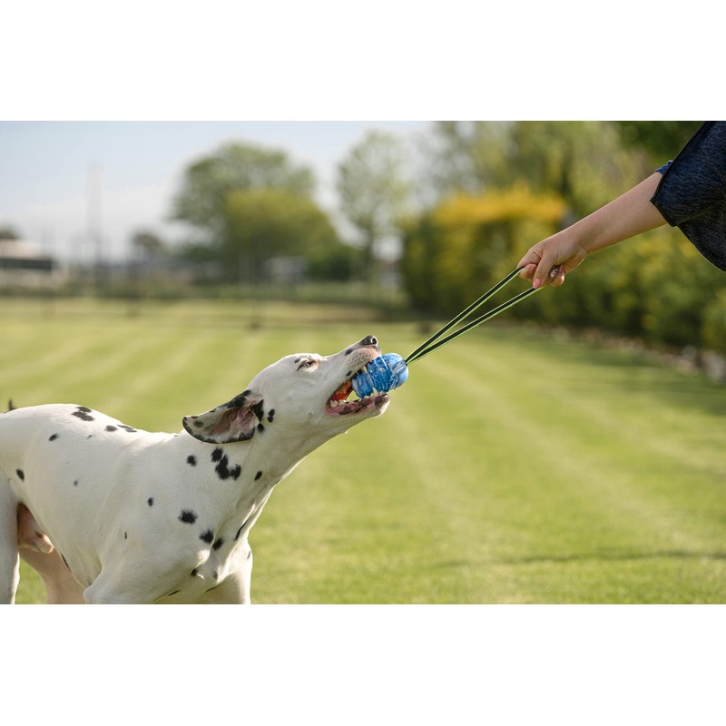 JK9 Duoplay Antibacterial Ball, Large