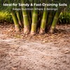 Real Growers Bamboo Special 13-5-11 – 12-Month Slow-Release Fertilizer for