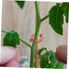 BESPORTBLE 100pcs Plastic Plant Clip Tomato Stakes and Supports for