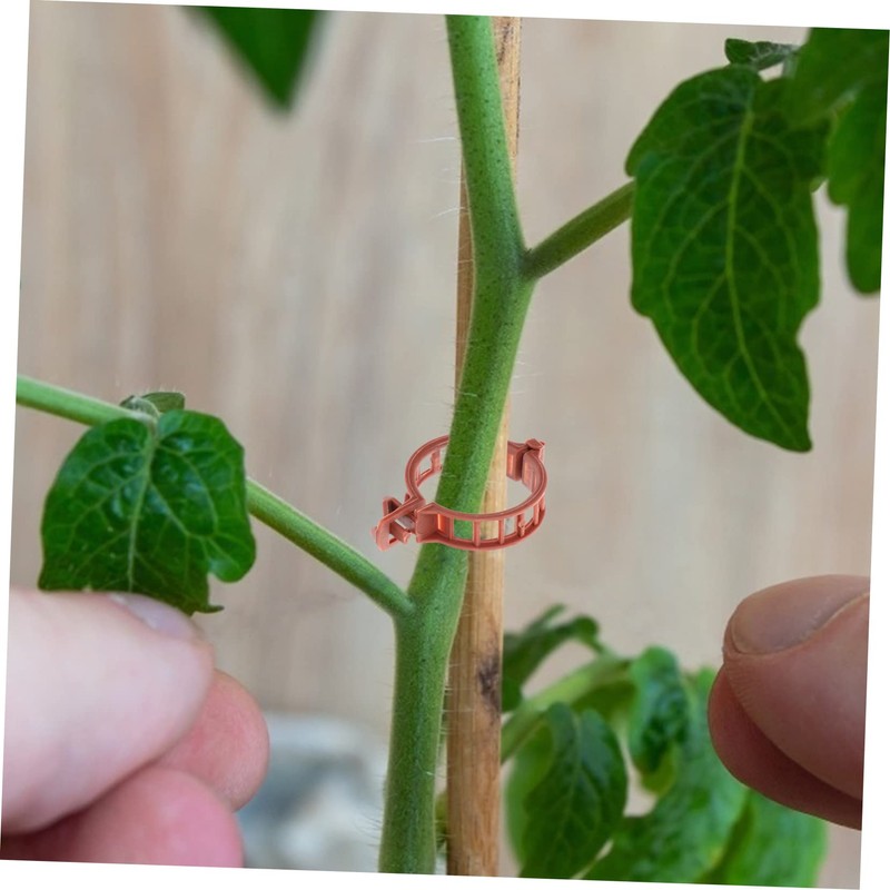 BESPORTBLE 100pcs Plastic Plant Clip Tomato Stakes and Supports for