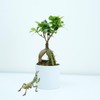 GOOHOCHY Mantis Figurine Plastic Mantis Model Realistic Model Kids Toy