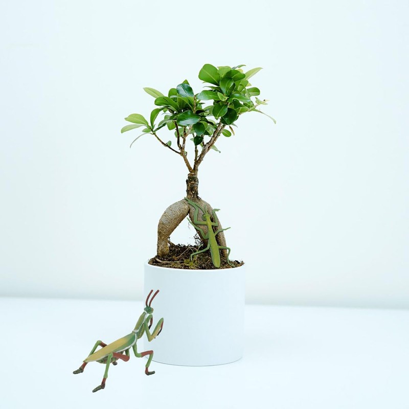 GOOHOCHY Mantis Figurine Plastic Mantis Model Realistic Model Kids Toy