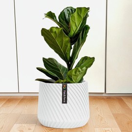 Fox & Fern Large Modern 12 Inch Planter - Premium Polystone Gray Plant Pot with 3D Texture and Drainage Plug; 12 Inch Pots for Plants Indoor; Large Planter for Indoor Plants & Outdoor Plants