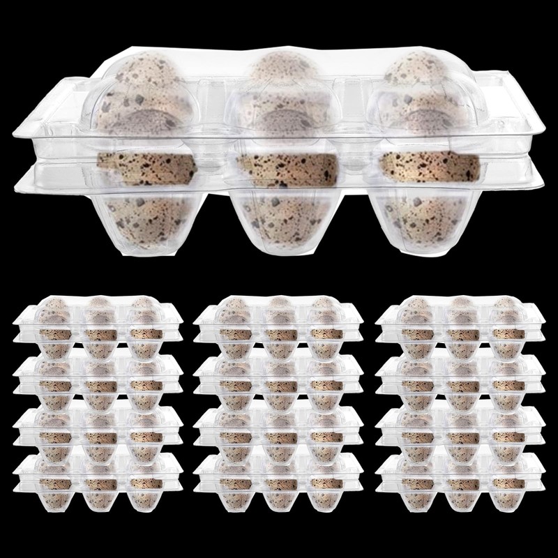 Oungy Pack of 100 Quail Egg Boxes with Lid, 6