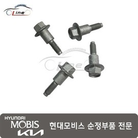 Hyundai Mobis Bolt 22451 2G600 / 볼트 22451 2G600