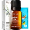 Gya Labs Gya Labs Bay Leaf Essential Oil for Diffuser