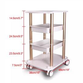 Unbranded For Cavitation Beauty Machine Instrument Rolling Cart Salon SPA Trolley Stand US
