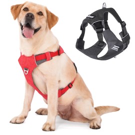 LIOPARD Dog Harness, Easy Walk Pet Harness No Pull with 2 Leash Clips, Reflective Running Soft Padded Adjustable Puppy Vest, Heavy Duty Seatbelt Harness for Car for Small Dogs (red, L)
