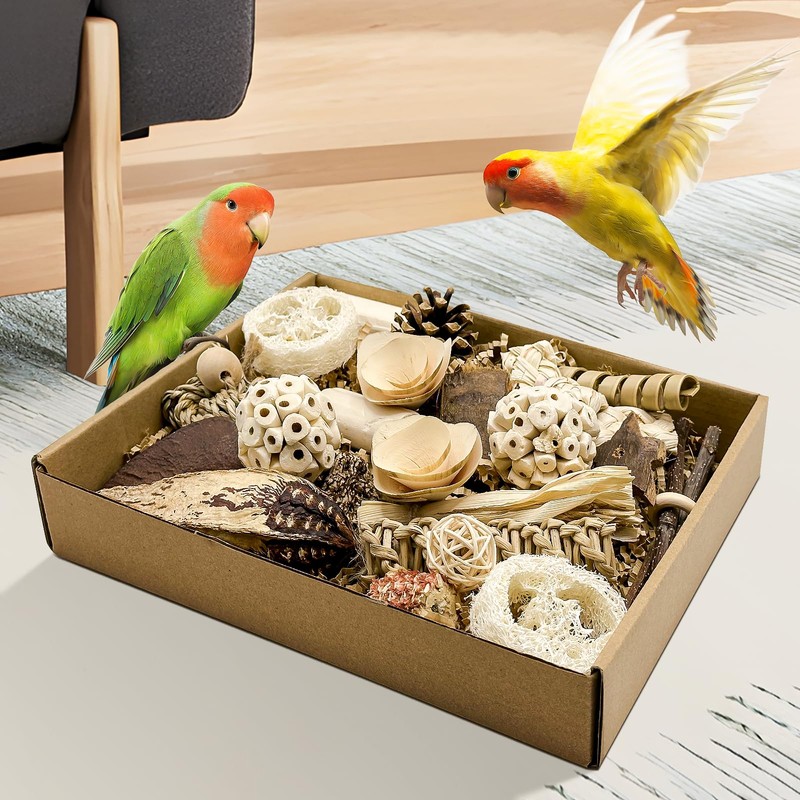 LOPERDEVE Natural Bird Toy Foraging Parrot Shredding Toys Box Conure