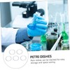 KICHOUSE Glass Design Petri Dishes Flat Bottom 100mm High Borosilicate