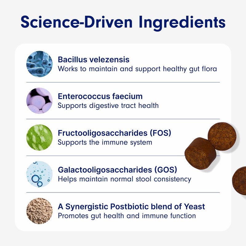 PetLab Co. Probiotic Support Chews – Daily Probiotic Supplements For