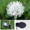 Solar Garden Light Outdoor Dandelion Garden Balcony Decoration Layout Inserted