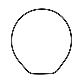 CASIO Genuine DW6900 Replacement Gasket O-Ring DW290