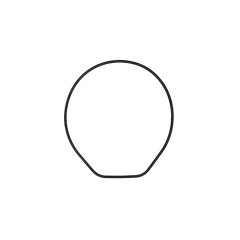 CASIO Genuine DW6900 Replacement Gasket O-Ring DW290