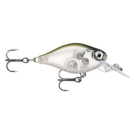 Rapala, X-Light Crank Mid Runner Fishing Lure, Size: 3.5cm/4g, Freshwater Floating Lure, Swimming Depth: 1.8-2.1m, Material with Plastic Construction, Ghost Shinner gHSH