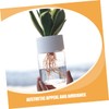 Totority 4Pcs Clear Pots Versatile Plastic Planters for Hydroponic Semi