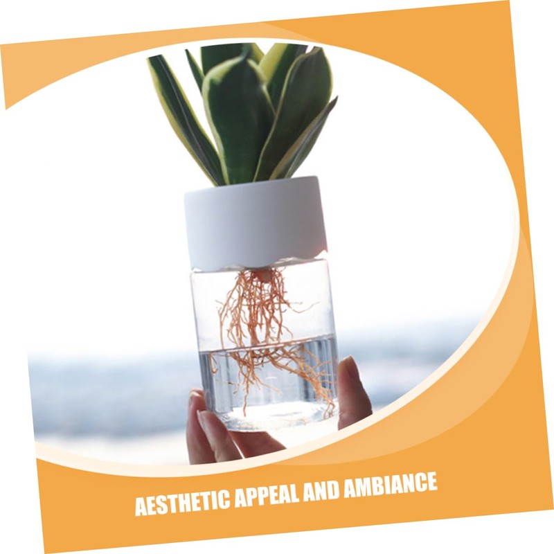 Totority 4Pcs Clear Pots Versatile Plastic Planters for Hydroponic Semi