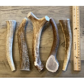 LARGE Elk/Deer Antler Premium Dog Chew (1pc) **OREGON ANTLER WORKS**