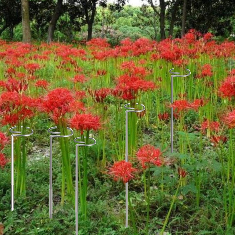 30 Inch Or 16 InchPlant Stakes for Flowers - 5