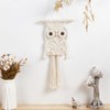 BEUNITONE Leisure Arts Macrame Kit for Beginners Owl Macrame Kit