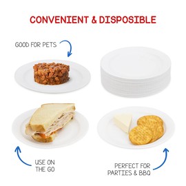 Hygloss Products Paper Plates - ‎Uncoated White Plate - Use for Foodware, Events, Activities, Crafts Projects and More - Environmentally Friendly - Recyclable and Disposable - 6-Inches - 300 Pack | Hygloss