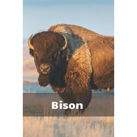 Notebook With Bison: Beautiful Animal Notebook for children and everyone!