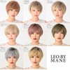 LEO BY MANE L-FWSH001 Heat-resistant Full Wig, Natural Mannish Short