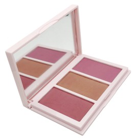 Estée Lauder Estee Lauder Pure Color Envy Blush & Bronze Goddess, 3 Best Colors Palette NWOB