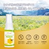 LOVITA Propolis Spray, Highly Concentrated Extract 50% (250 mg/ml) |