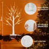 PABIPABI Christmas Decorations 2 Pack Lighted Birch Tree, 2 Ft