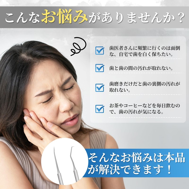 デンタルプローブ 歯石取り 歯石取り器具 歯用ツール 自宅 での ヤニとり 歯石 除去 ステンレス