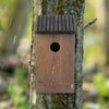 Hanging Wooden Bird House DIY Breeding Parrots Bird Nesting Box