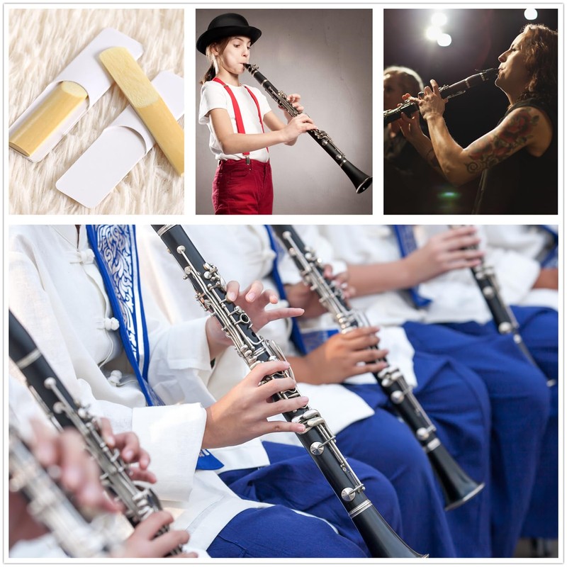 SUEWIO Bb Clarinet Traditional Reeds, Strength 2.0, Box of 10