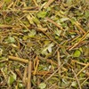 HERBALISTA Herbalista - Té de hojas sueltas premium de morón