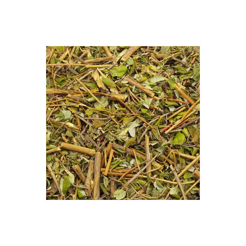 HERBALISTA Herbalista - Té de hojas sueltas premium de morón
