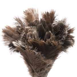 Redecker Ostrich Feather Duster with Varnished Wooden Handle, Small, 13-3/4-Inches