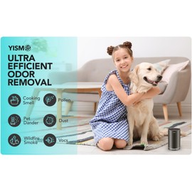 Clean Air Freshener and Odor Eliminator. Travel Size Electric Fragrance Diffuser Removes Pet, Smoke and Other Odors. Smart-Touch USB Charge. Home, Office or Travel. (Jasmine, Black)