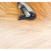 Allstar HI KN124 Knot Out Electric Pet Grooming Comb, Black/Grey