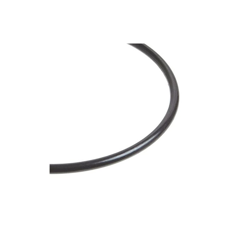 Beaver Island Parts Company Replacement Pool Pump Lid O-Ring Part