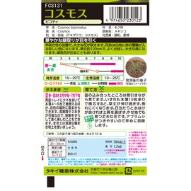 Takii Seedling Cosmos Picoty