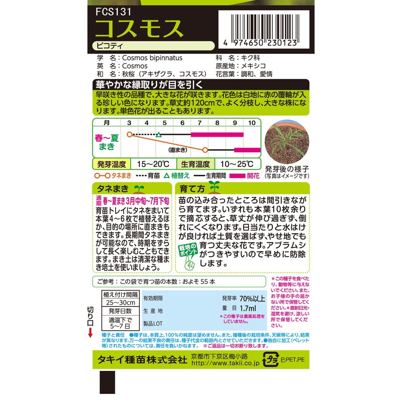Takii Seedling Cosmos Picoty