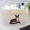 Large 'Sphynx Cat' Canvas Organiser/Storage Bag (OR00010563)